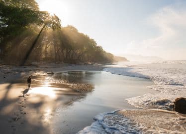 Digital Nomads: work remotely from the land of Pura Vida! (Part I)