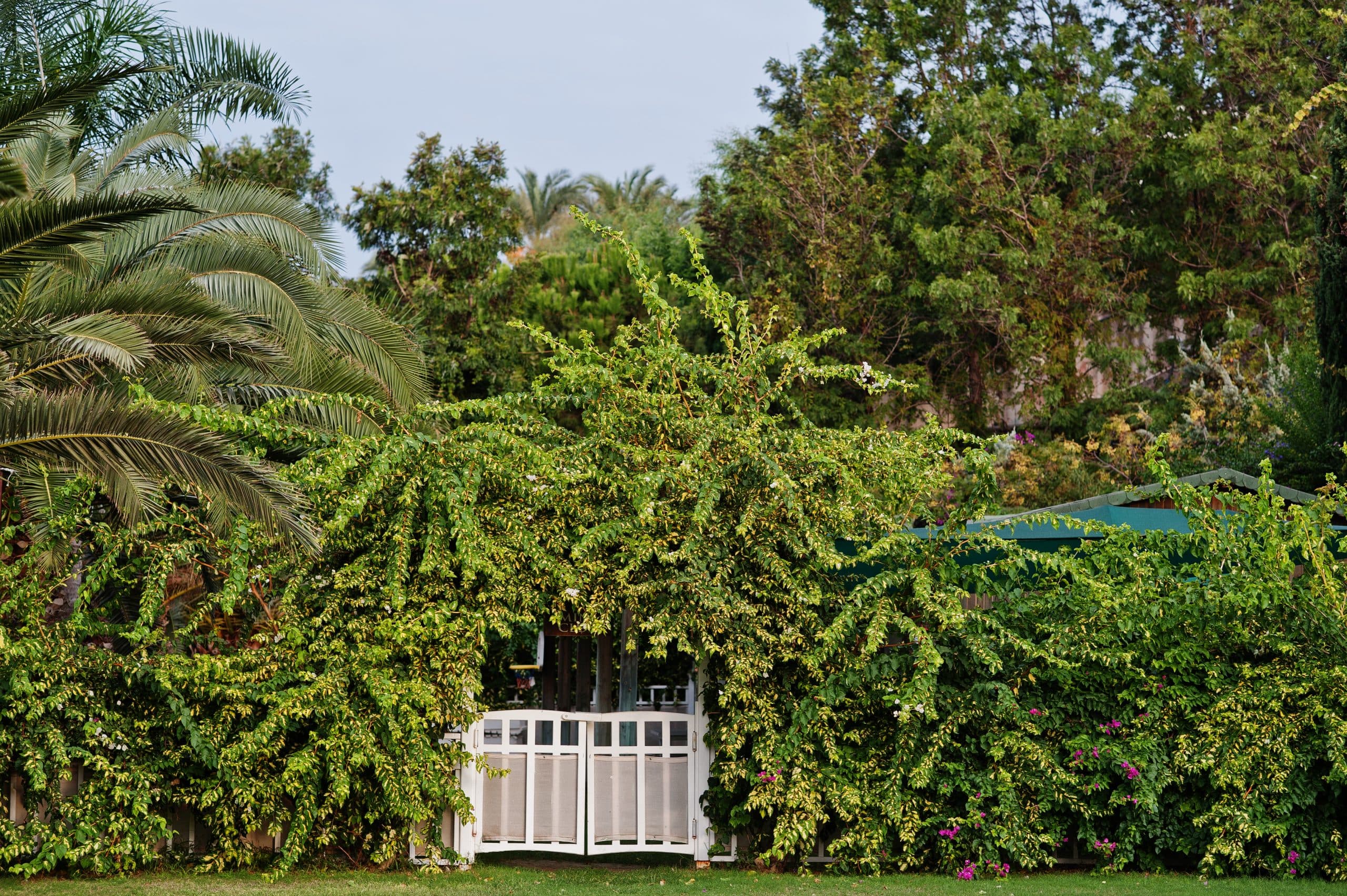 Why Personalized Legal Strategy Changes the Outcome of Real Estate Investments in Costa Rica